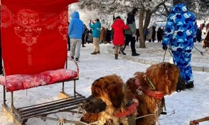 网传“吉林大爷救助重庆游客反遭诬陷”？重庆文旅回应